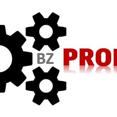 BZ Proyectos Logo